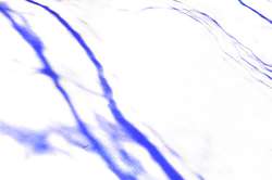 Schnee 1